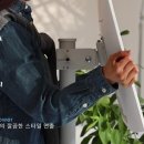 덴켄미디어