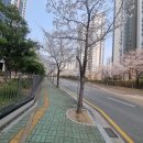 양산증산동물약국 | 양산미용실 인아트힐헤어 애쉬브라운염색 후기 (양산증산미용실)