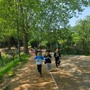 숲속늘푸른어린이집 | 늘푸른 친구들과 함께 한 탄생숲 마라톤 대회 🏃‍♂️전주 상록어린이집🏃‍♀️