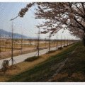 낙동강관리본부 맥도생태공원 4 이미지
