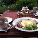 호코농장 이미지