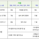 송도 솔밭 유아숲체험원 이미지