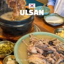 학성뚝배기 | 울산 남구 백숙 맛집 홈런가든 가족외식 몸보신 제격