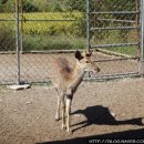 광덕목장 이미지