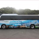 청춘도시투어 이미지