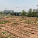 김은희농장 이미지