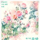 도심속문화예술축제 | 중랑 서울장미축제 기본정보 프로그램 주차장소 먹거리 부스