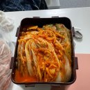김치나라 이미지