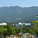 탑중앙부동산공인중개사사무소 이미지