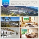 스테이 순천(Stay suncheon) 네이버블로그
