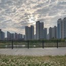 신독도참치 - 파주시 순못길 122-14 | 신독도참치