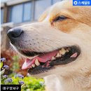 본리종합동물병원 이미지