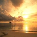 바다와 노을 이미지