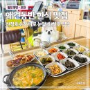 산호애견 이미지