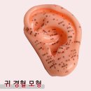 진산한의원 이미지