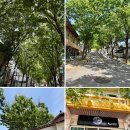 스테이동주 이미지