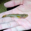 독립-16-05 이미지