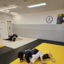 대우체육관 이미지