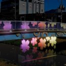 환경체육단지 다목적구장 이미지