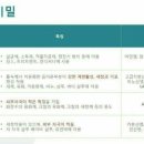 스킨스피어 이미지