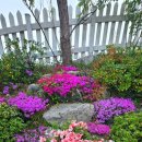 설천, is 이미지