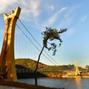 장성호 미락단지 이미지