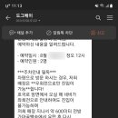 도그베이 이미지