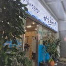 하영횟집 | 제주 서귀포 맛집 하영횟집 / 고등어회 내돈내산찐후기
