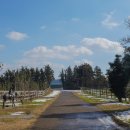 한림목장 이미지