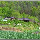 단구1리 이미지