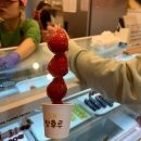 합성동 맛집 : 합성동 마산갈매기, 합성동 왕가탕후루 내돈내산 후기~~~