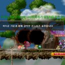 홍화사랑