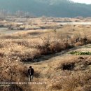 이별에서..안산 민족극한마당공연위한 최종대본 (30분+6분) 이미지