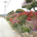 일심농장 이미지