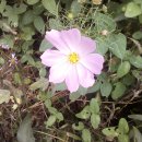 추억저장소 이미지