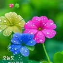 대천경로당 이미지