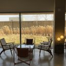 스왈로우 | 창밖뷰 + 커피 조합 영종도 스왈로우 카페 후기☕