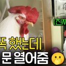 이*문 이미지
