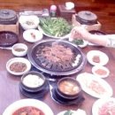 대수정 이미지