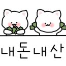 화끈한갈매기 이미지