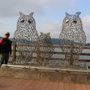 삼월리마을회관 이미지