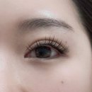 다비래쉬 이미지
