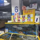 수산시장 | 강서구 수협 강서 수산시장 후기