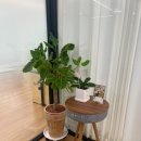 일산 필라테스 모임필라테스, 그룹레슨 + PT 후기