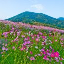 잠실역 9번출구 공원 이미지