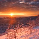 강원 태백시 태백산 눈꽃산행 (1) 이미지