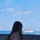 중앙시장 | 속초 당일치기 여행 코스 추천 중앙시장 맛집 먹거리 후기