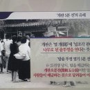 개판오분전 이미지