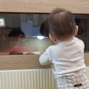 흙놀이 | [육아][체험] ⌛️ 용인 프롬어스 베이비그라운드ㅣ 아기와 함께한 첫 흙놀이, 조용한 자연공간 후기