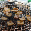 영농돼지후계자 이미지